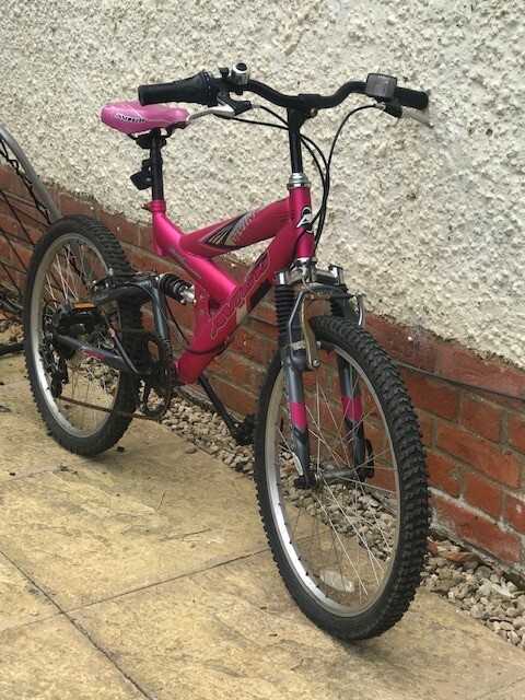 avigo dual suspension bike